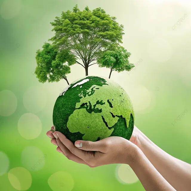 servizi ambientali Del Conte