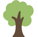 alberi