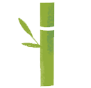 bambù