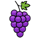 vigneti adottati