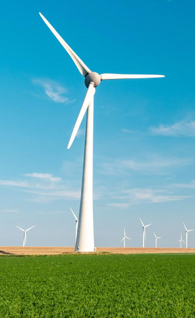 Promozione della Transizione Energetica e al Cambiamento Climatico