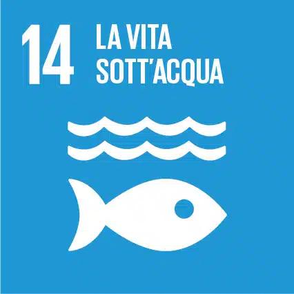 Vita sott'acqua