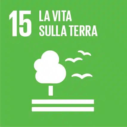 Vita sulla terra